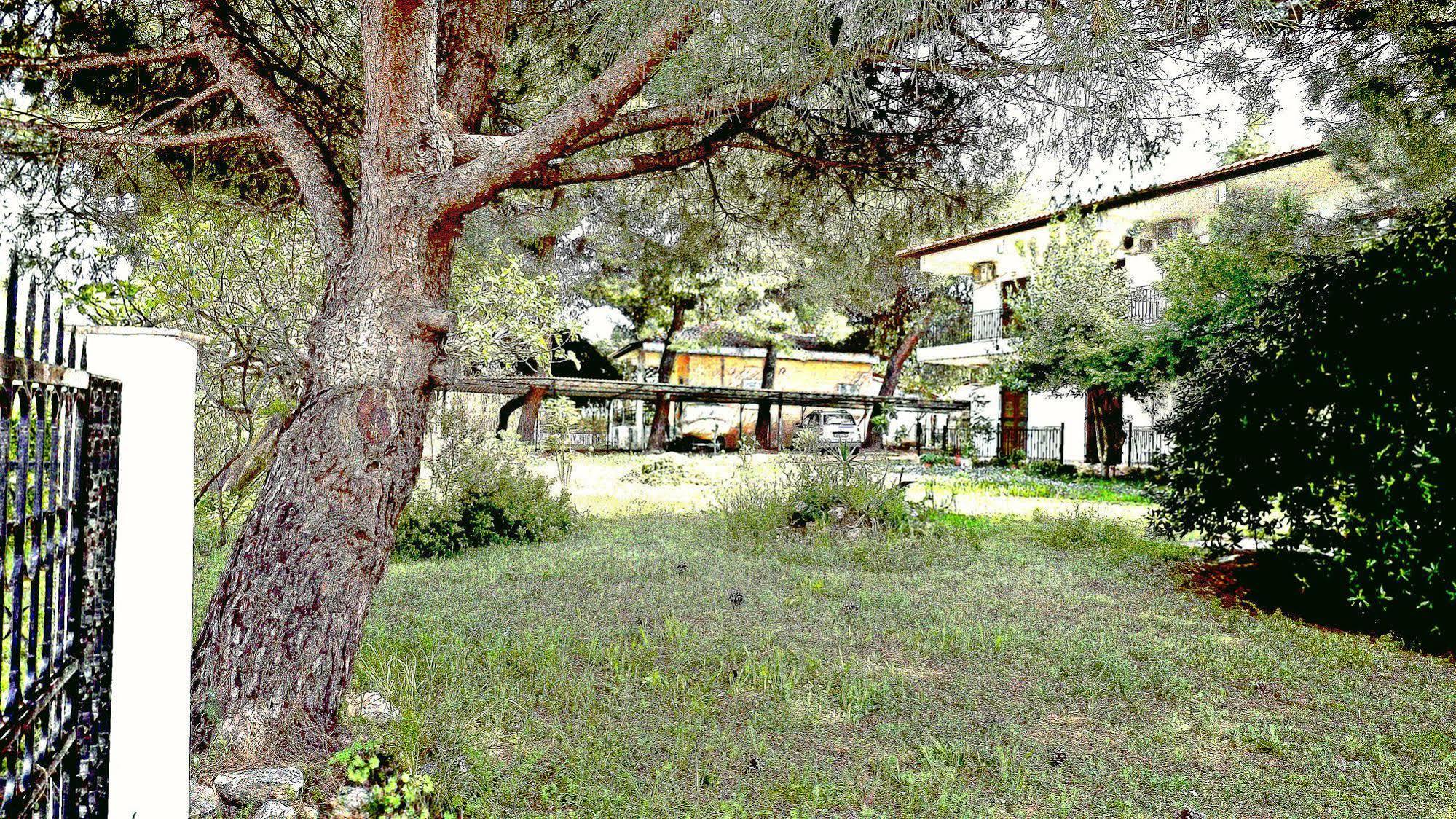 Pefka Studios & Apartments Χαλκιδική Εξωτερικό φωτογραφία